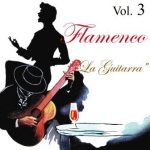 Flamenco en Vintage Music