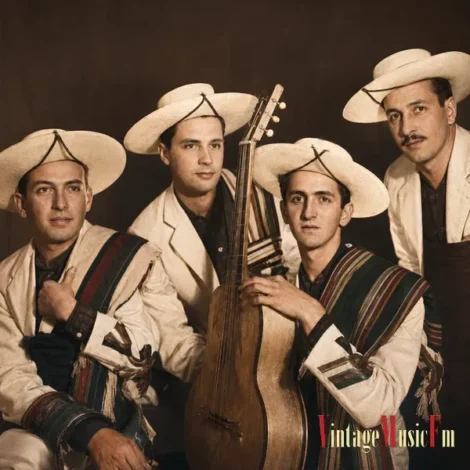 LOS HUASOS QUINCHEROS