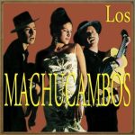 Los Machucambos en Vintage Music