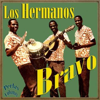 Los Hermanos Bravo, Hermanos Bravo