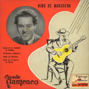 Pinceladas Andaluzas,  Niño de Marchena